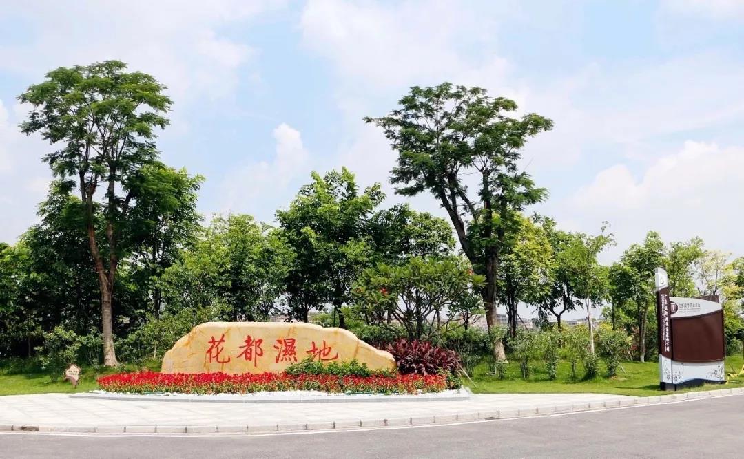 2019广州花都摇滚马拉松12月25日报名开启